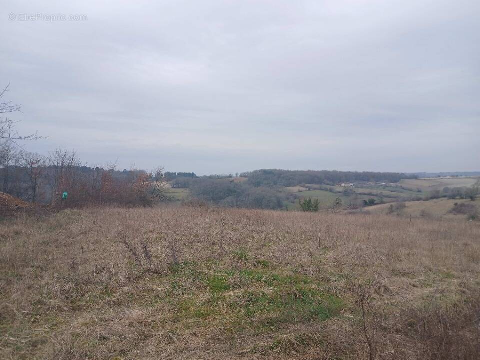 Terrain à SAINT-ASTIER