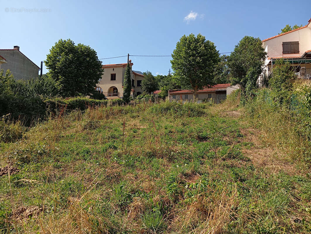 Terrain à PRATS-DE-MOLLO-LA-PRESTE
