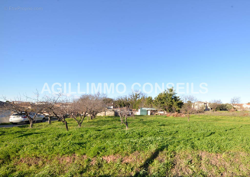 Terrain 503m2 Puget-sur-Argens - Terrain à PUGET-SUR-ARGENS
