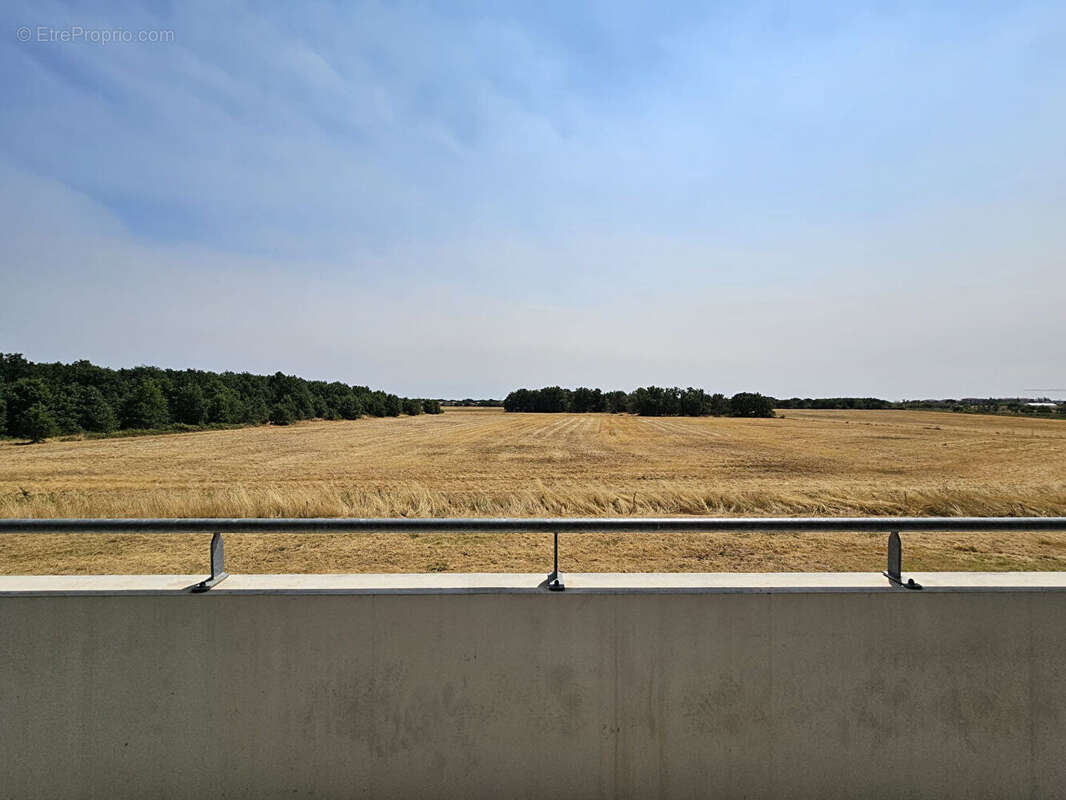 Plaisance-du-touch - Appartement T2 de 46m2 - photo 4
