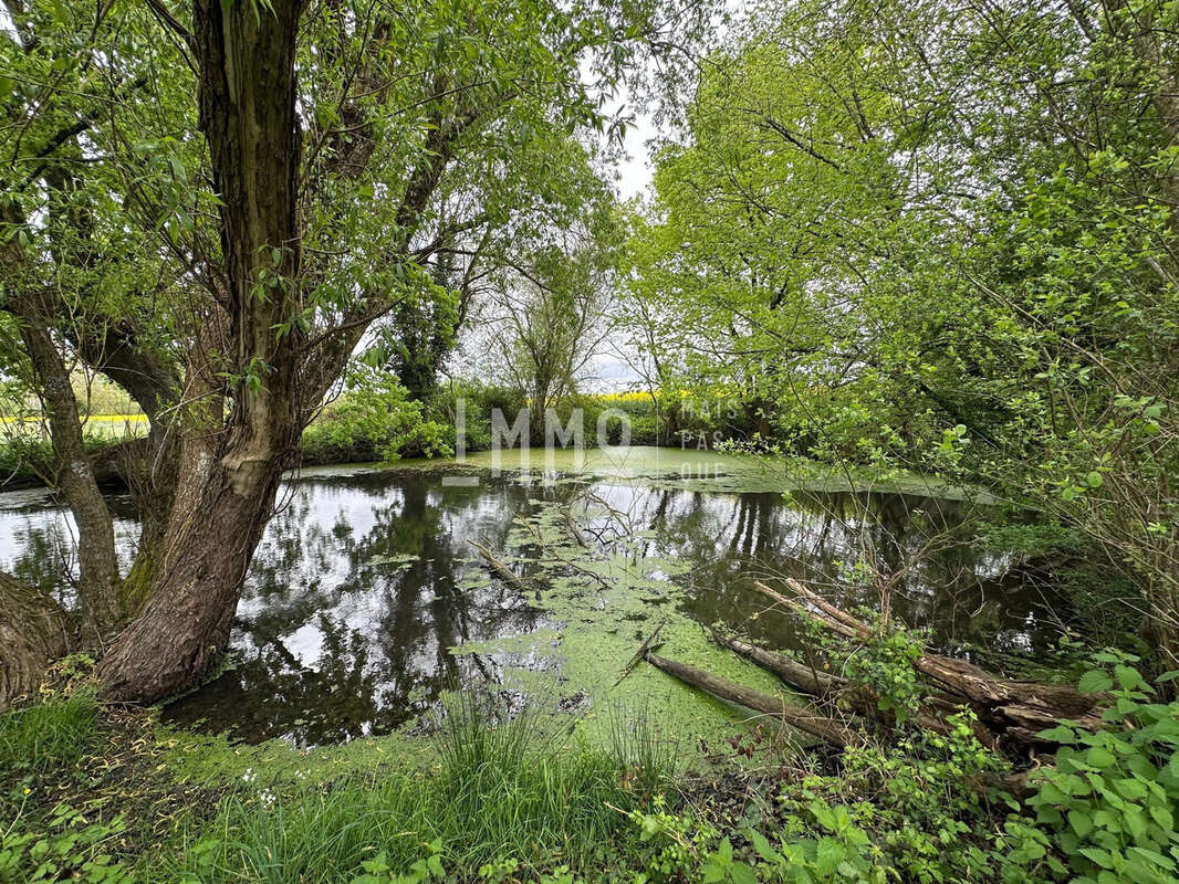 Maison à NOGENT-SUR-LOIR