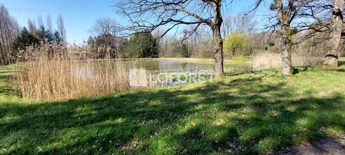 Terrain à GRANDVILLARS