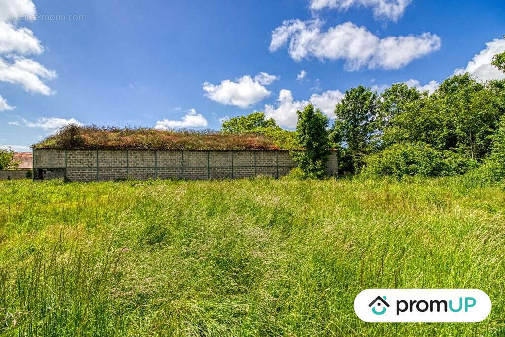 Terrain à OYE-PLAGE