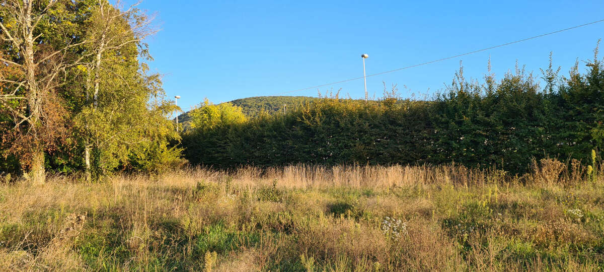 Terrain à JUJURIEUX