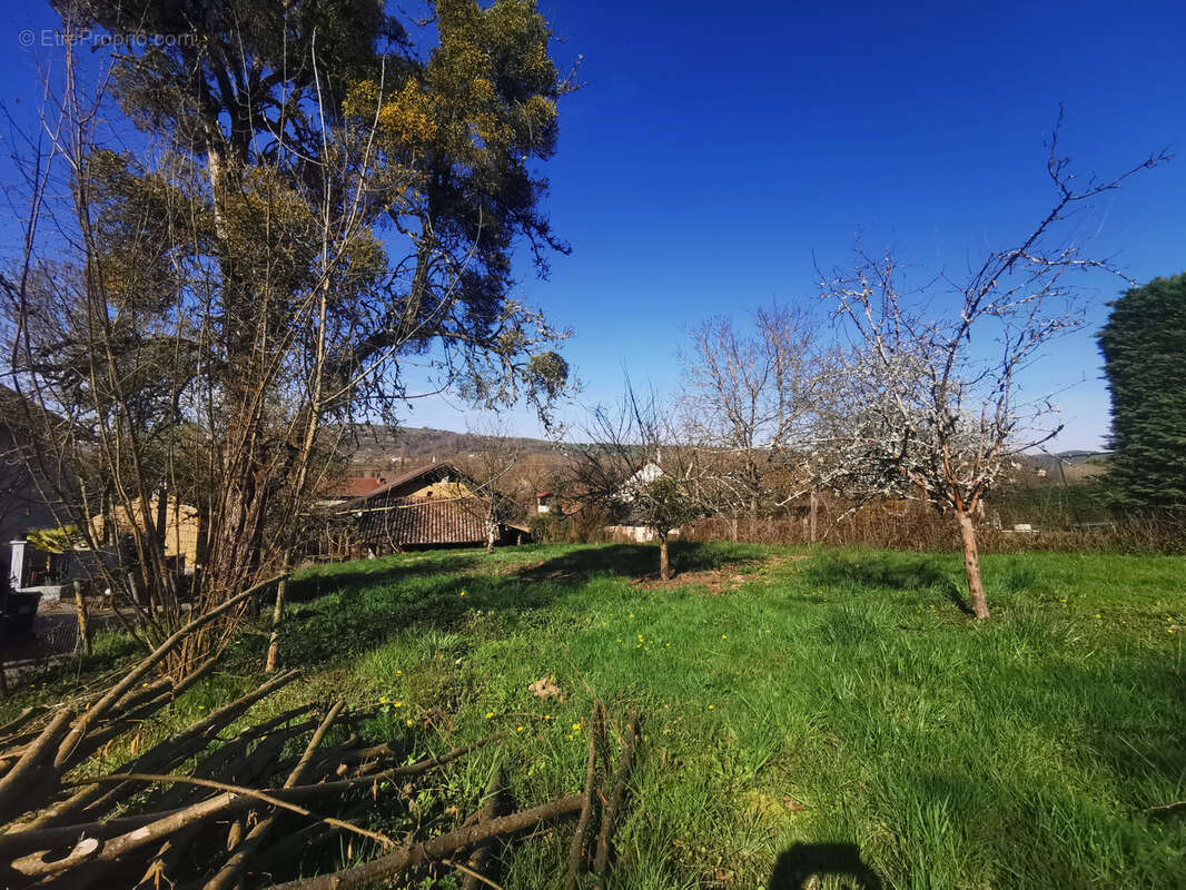 Terrain à SAINT-CHEF