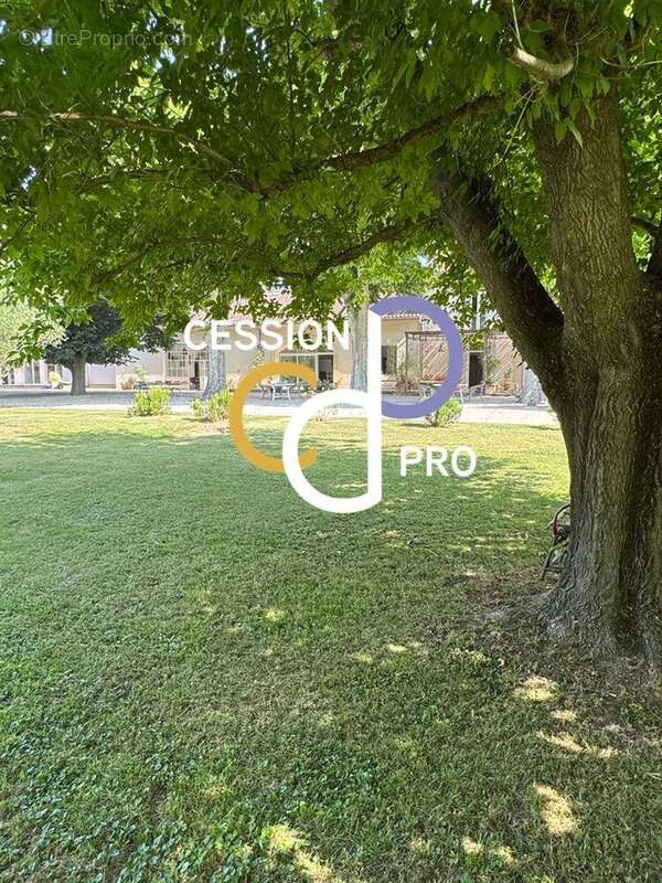 Commerce à SAINT-REMY-DE-PROVENCE