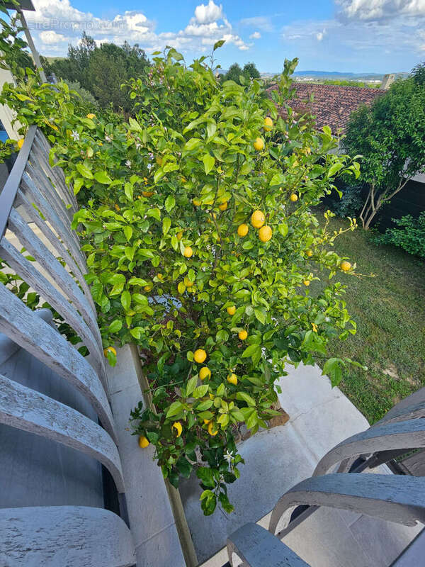 Maison à CONILHAC-CORBIERES