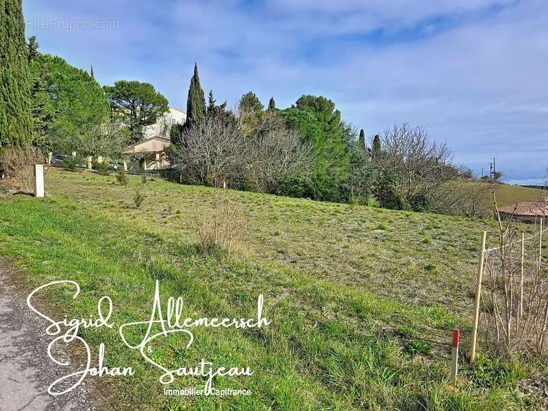À vendre – Terrain de 798 m² MONTCLAR (11250 Aude) - photo 2