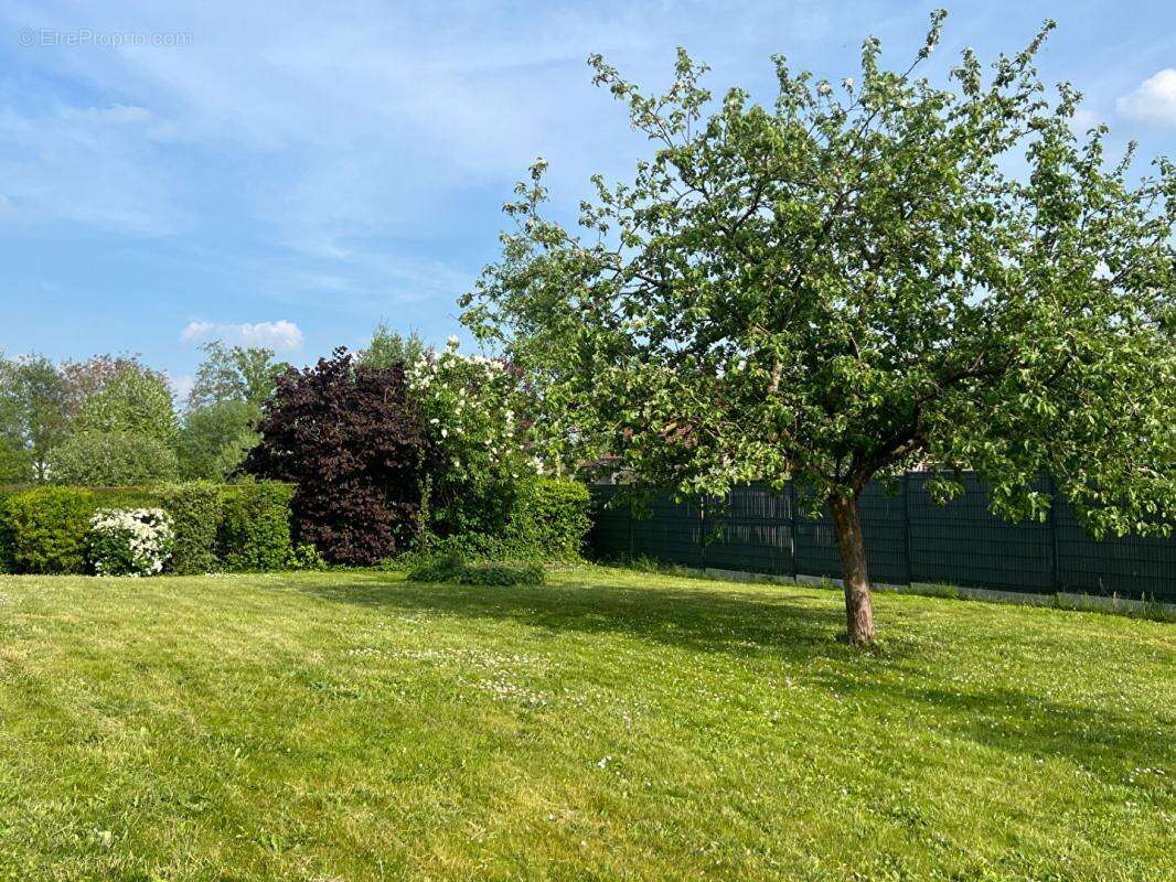 Maison à GOURNAY-EN-BRAY