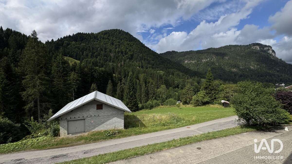 Photo 4 - Commerce à BELLEVAUX