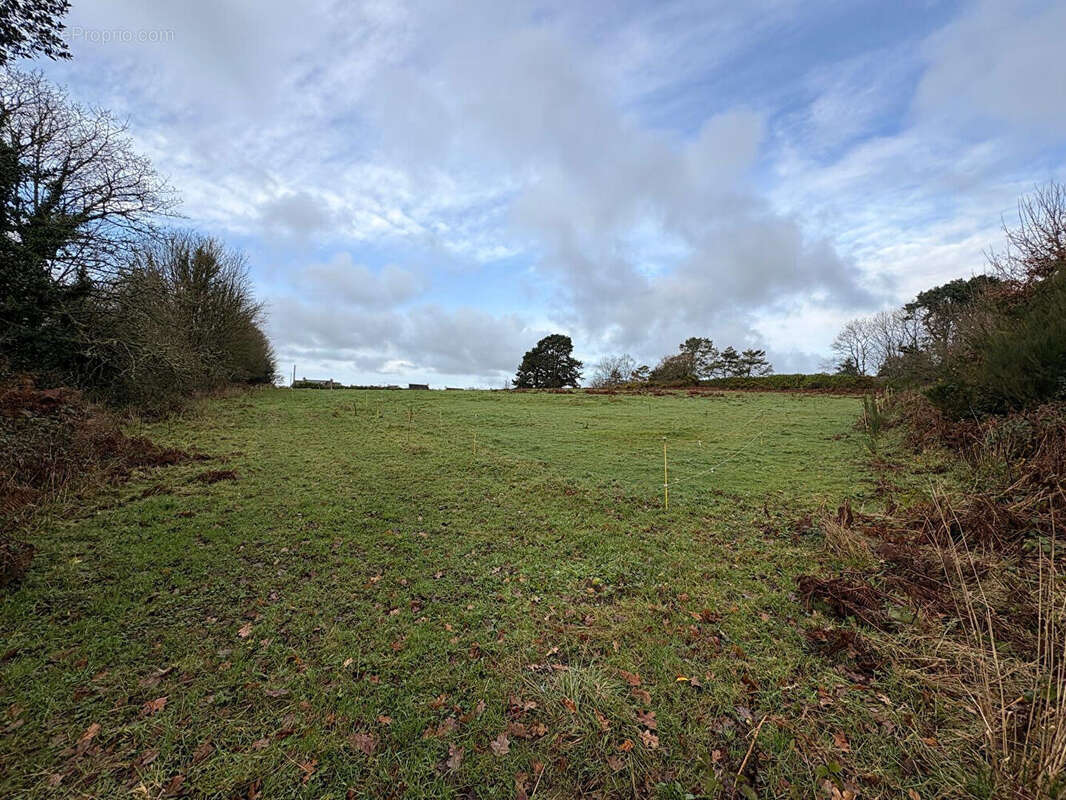 Terrain à GUERLESQUIN
