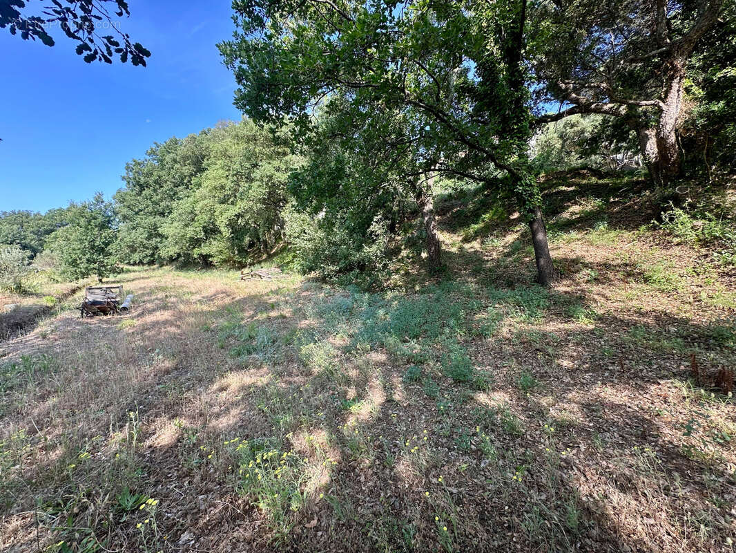 Terrain à COLLOBRIERES