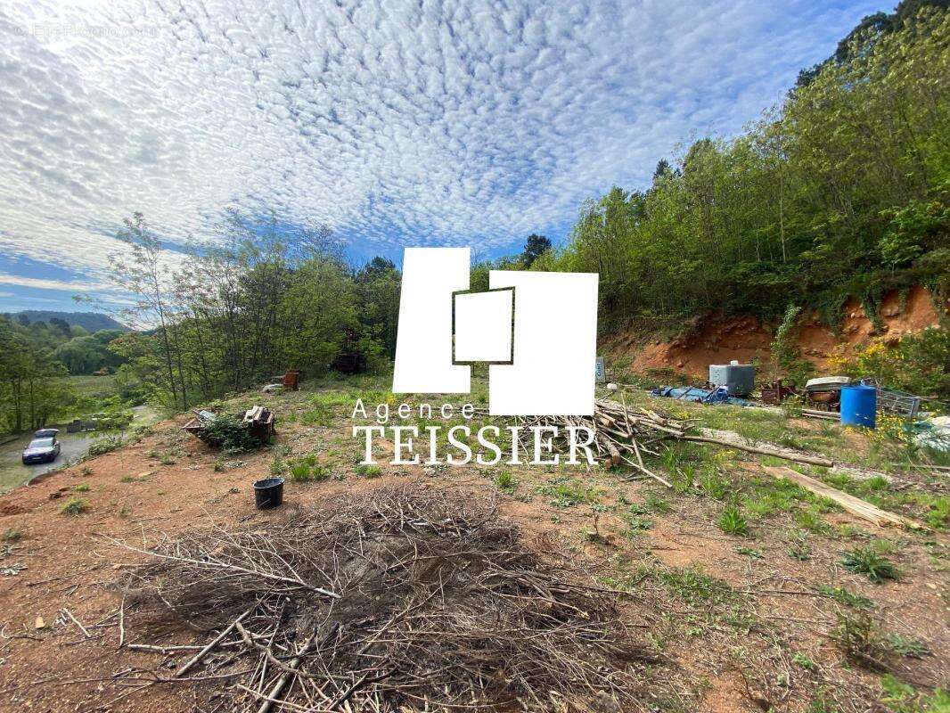 Terrain à CHAMBONAS