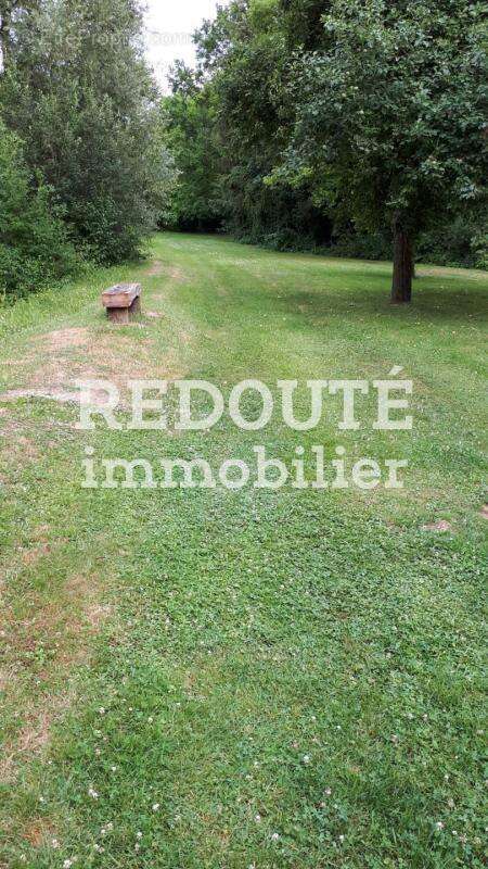 À vendre – Magnifique terrain arboré avec étang – 8 100 m² – Barby ( A 5 mins de RETHEL et à 30 mins de REIMS) - photo 6