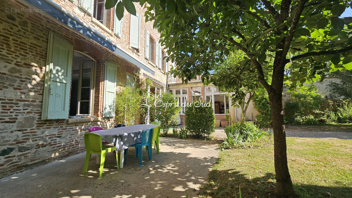 La terrasse ombragée