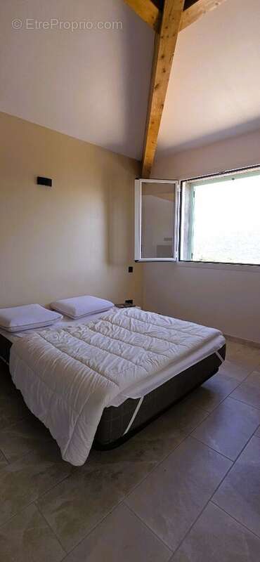 Maison à CHATEAUNEUF-VILLEVIEILLE