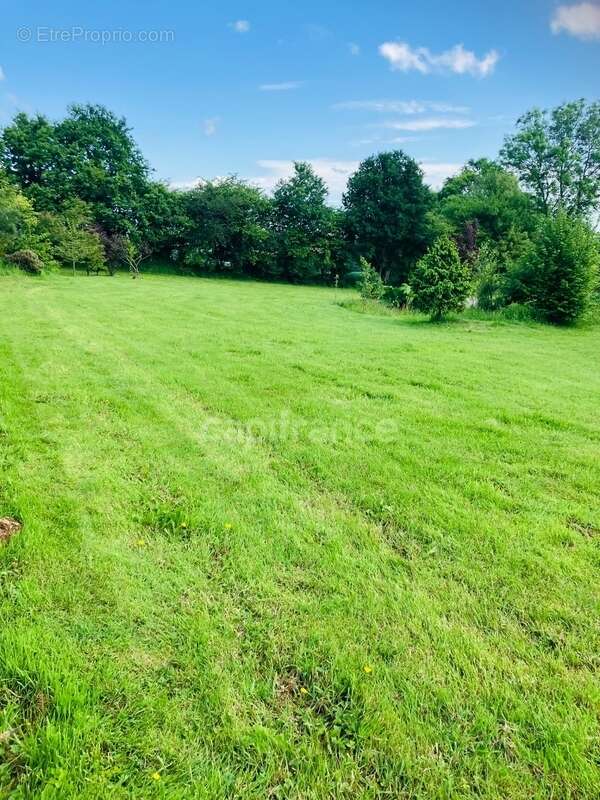 Terrain à LE TREHOU