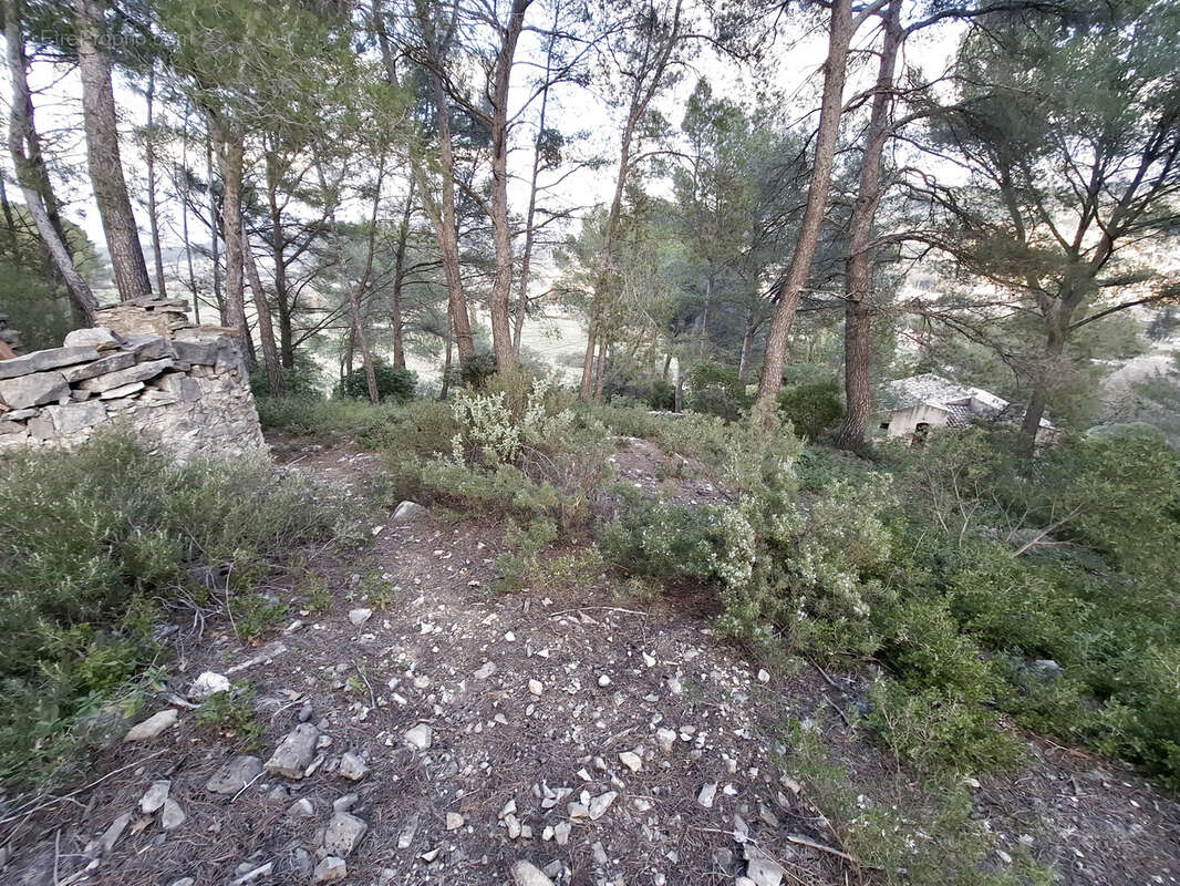 Rare propriété 7000 m2 de terrain tranquillité absolue, villa T4/5 de 157 m2 au calme proche des commodité à 5 - photo 12
