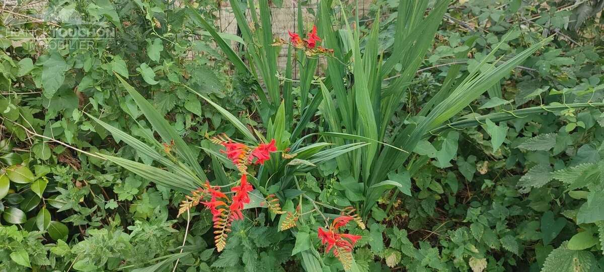 Maison à PERS-EN-GATINAIS