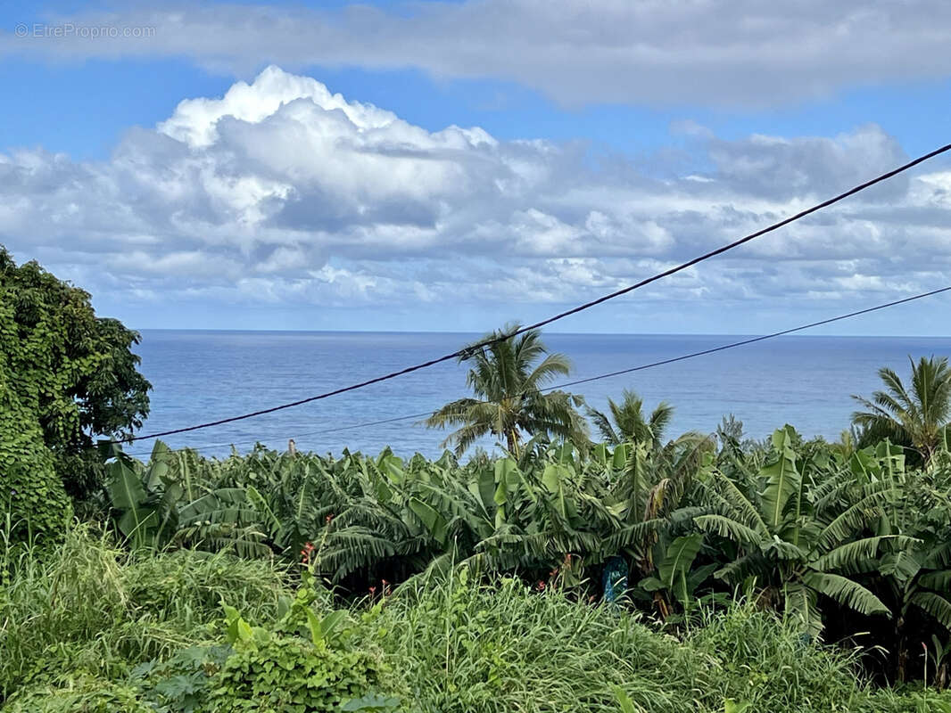 Maison à SAINT-JOSEPH