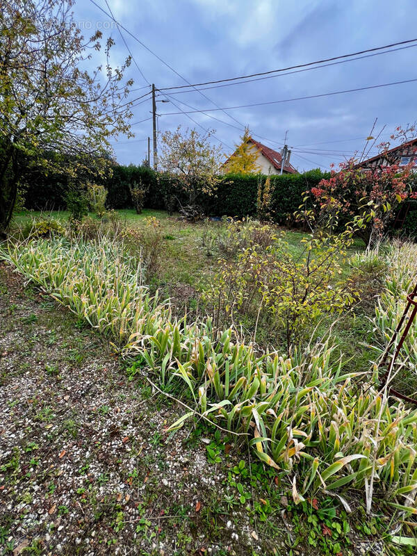 Terrain à SAINTE-GENEVIEVE-DES-BOIS