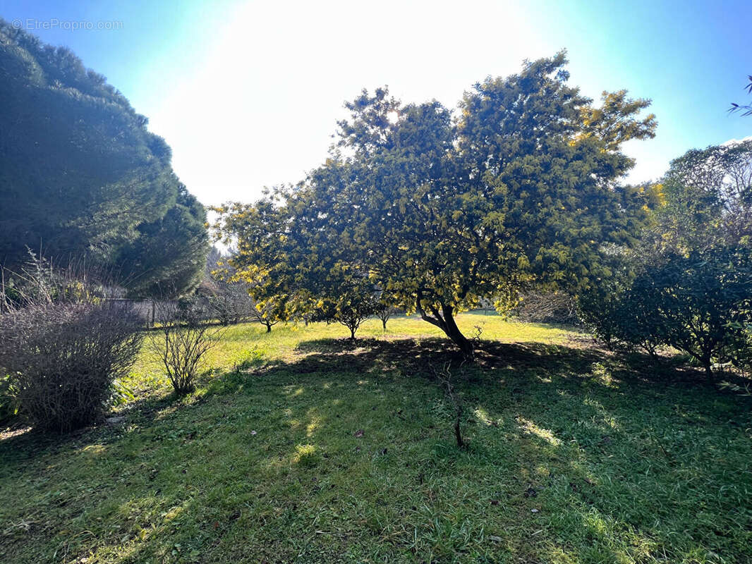 Maison à LA SEYNE-SUR-MER