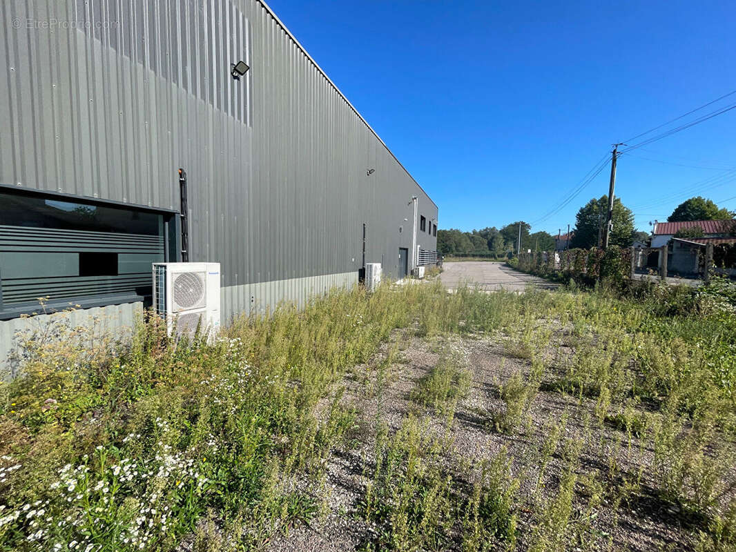 Commerce à SAINT-DIZIER