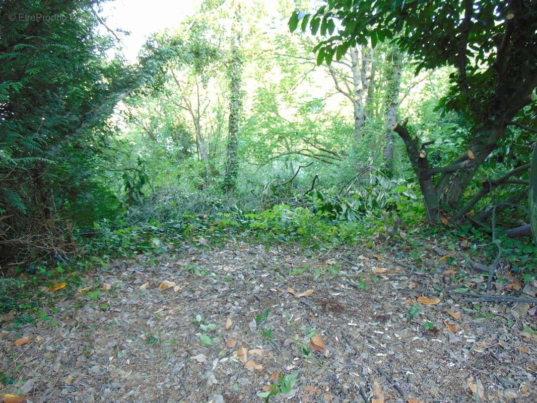 Photo 2 - Terrain à FONTENAY-SUR-LOING