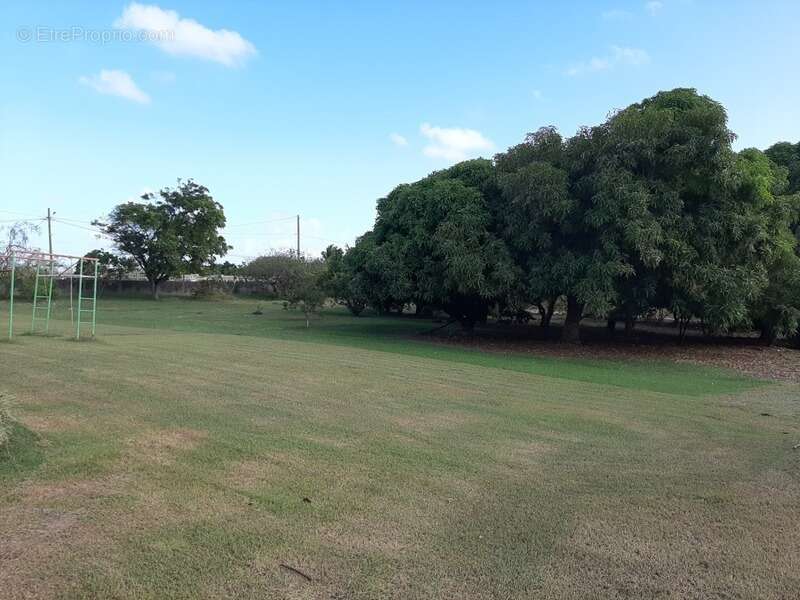 Dpt Guadeloupe (971), à vendre SAINT FRANCOIS maison P5 de 134,03 m² - Terrain de 8 528,00 m² - Plain pied - photo 6