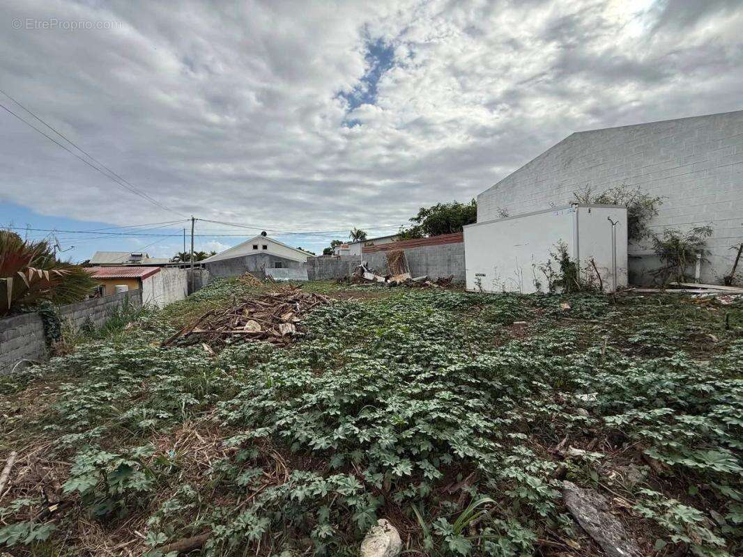 Terrain à SAINT-PIERRE