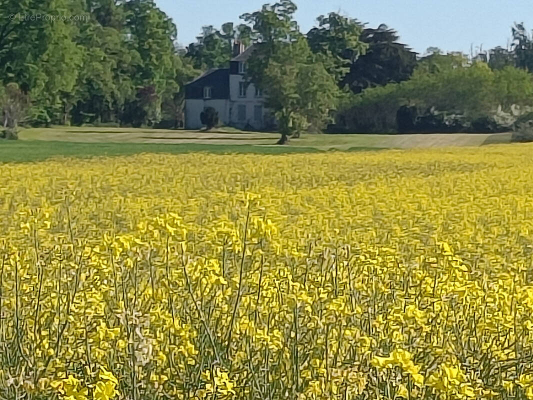 Maison à BONNY-SUR-LOIRE