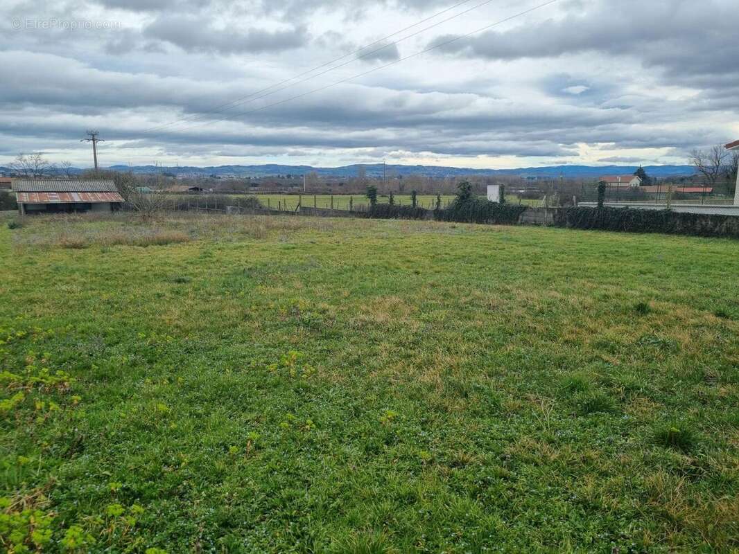 Terrain à bâtir de 800 m² à CRAINTILLEUX (42) - photo 2