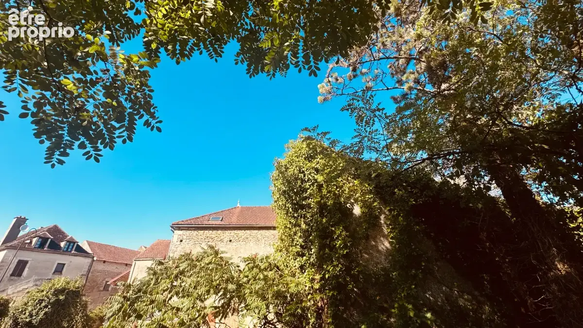 Maison de village à rénover à THORY ( 89200)  au prix de 35 000 € avec cour et potager. - photo 6