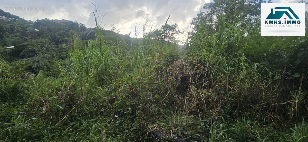 Terrain à RIVIERE-SALEE