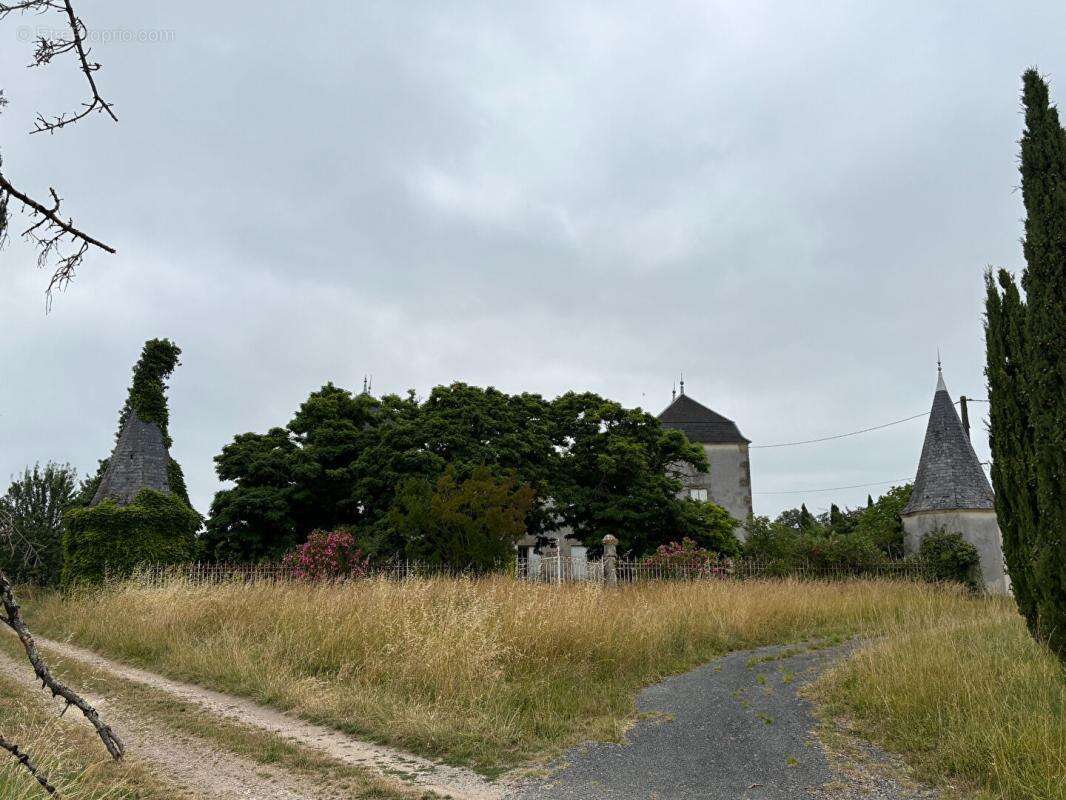 Château confidentiel à Massugas, dominant les côteaux, entre Pellegrue et Sauveterre de Guyenne - photo 2