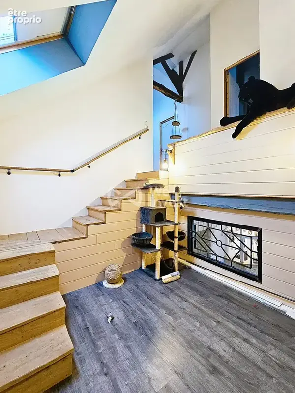 Maison 228 m² à Boynes  - photo 8
