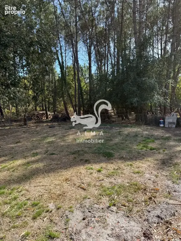 Mios, sur 1170m2 de jardin, au calme, maison 3 ch et garage - photo 5