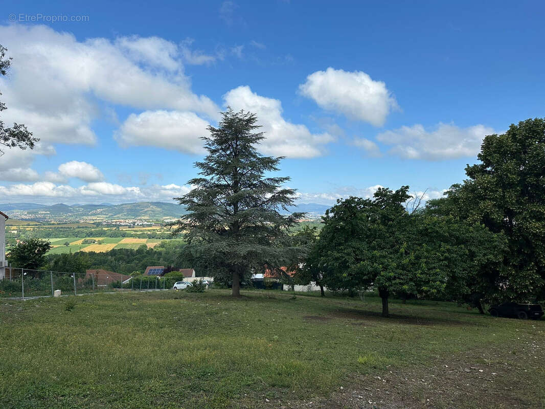 Terrain à LA ROCHE-NOIRE