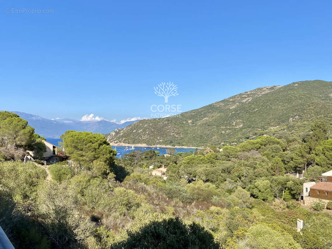 Maison à BELVEDERE-CAMPOMORO