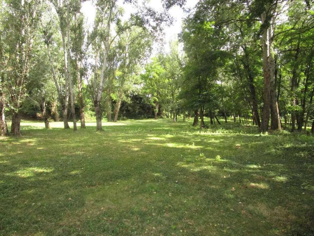 Photo 2 - Maison à LABOUTARIE