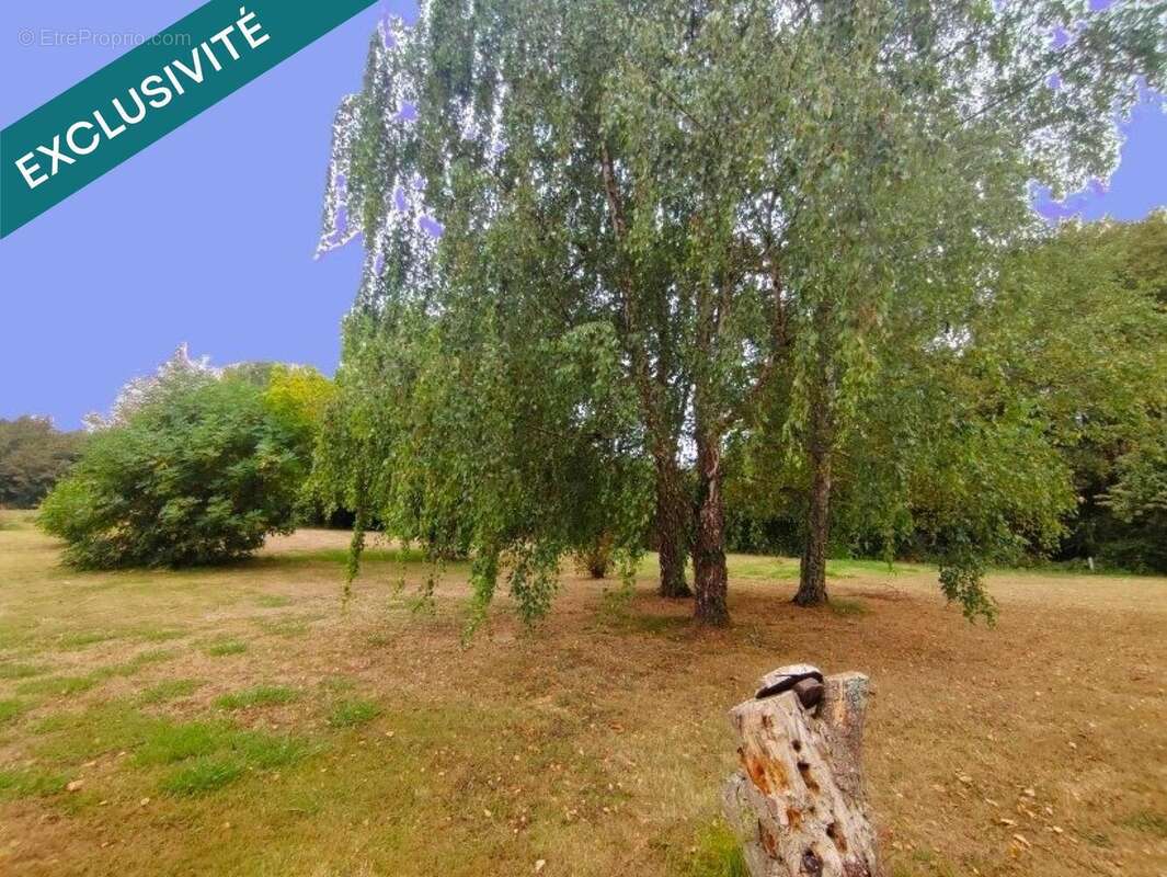 Photo 9 - Maison à NOGARO