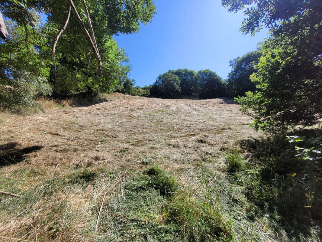 Terrain à PIERREFICHE