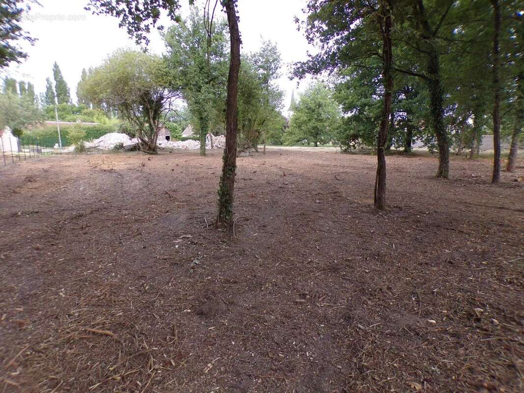 Vente Terrain Theillay(41300) 90 000ï¿œ - photo 7
