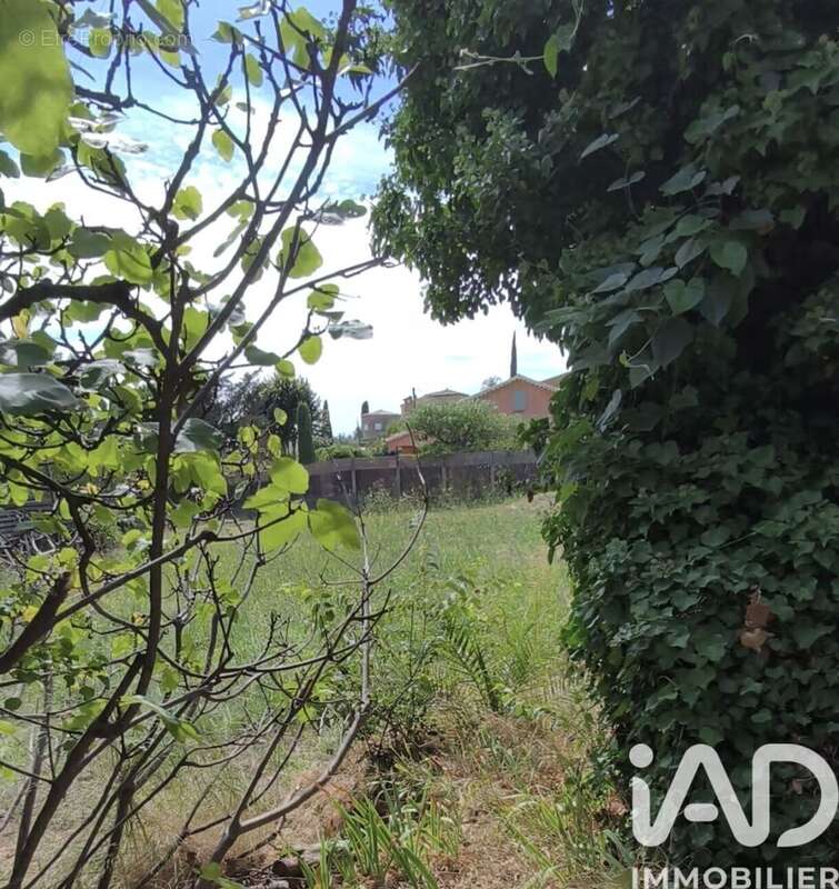 Photo 2 - Terrain à OLLIOULES