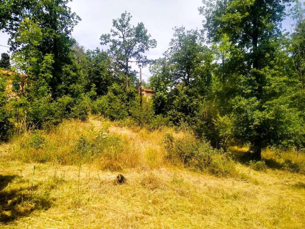 Photo 5 - Terrain à RIA-SIRACH