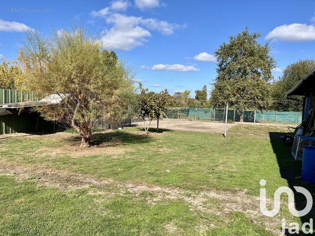 Photo 7 - Maison à CAPTIEUX
