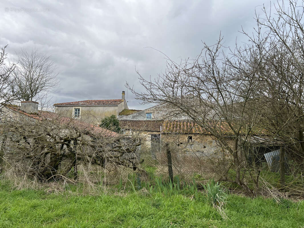 Maison à THIRE