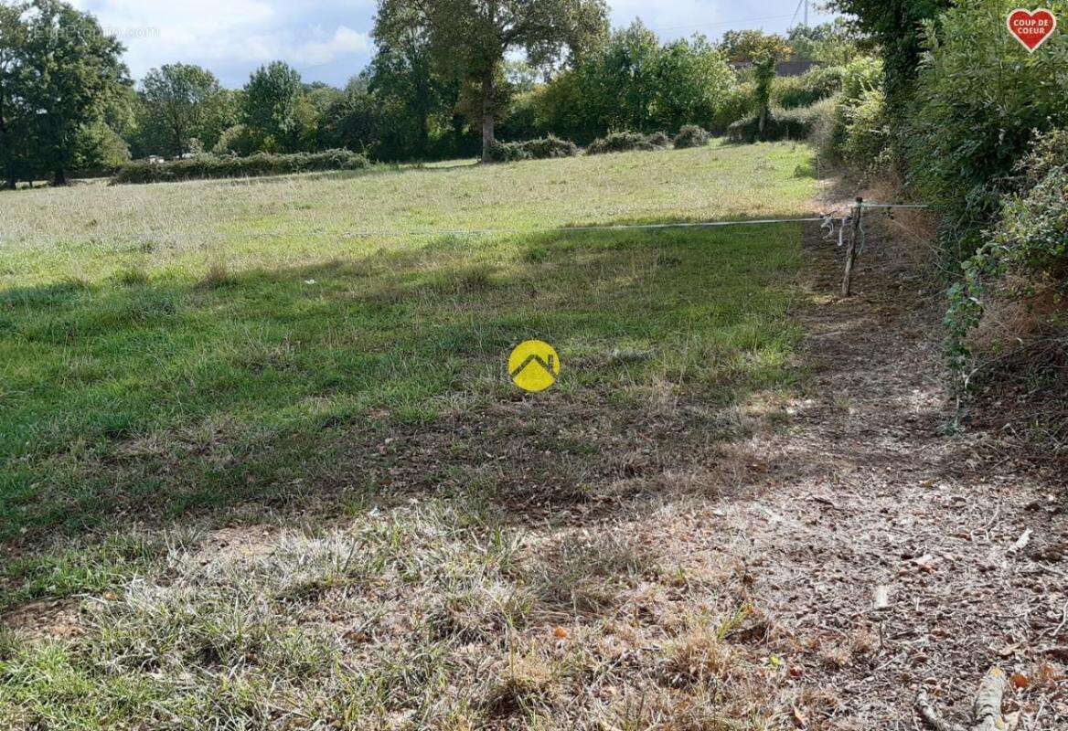 Terrain à SAINT-MARTINIEN