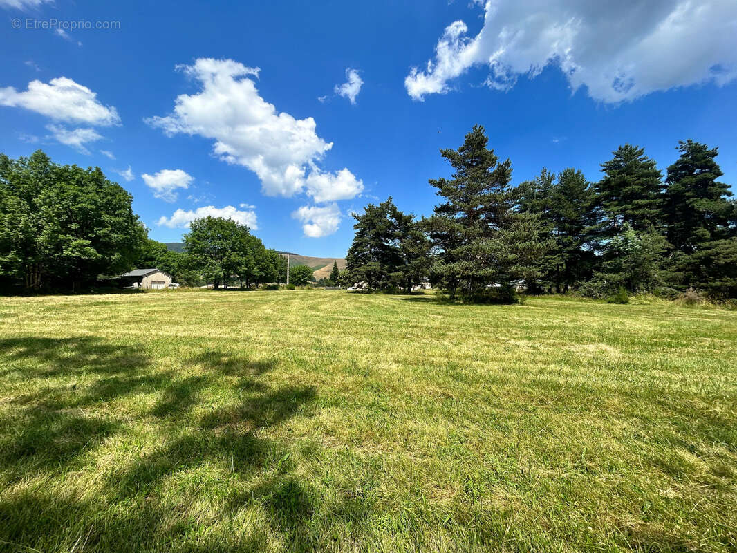 Terrain à SAINT-SAUVEUR-CAMPRIEU