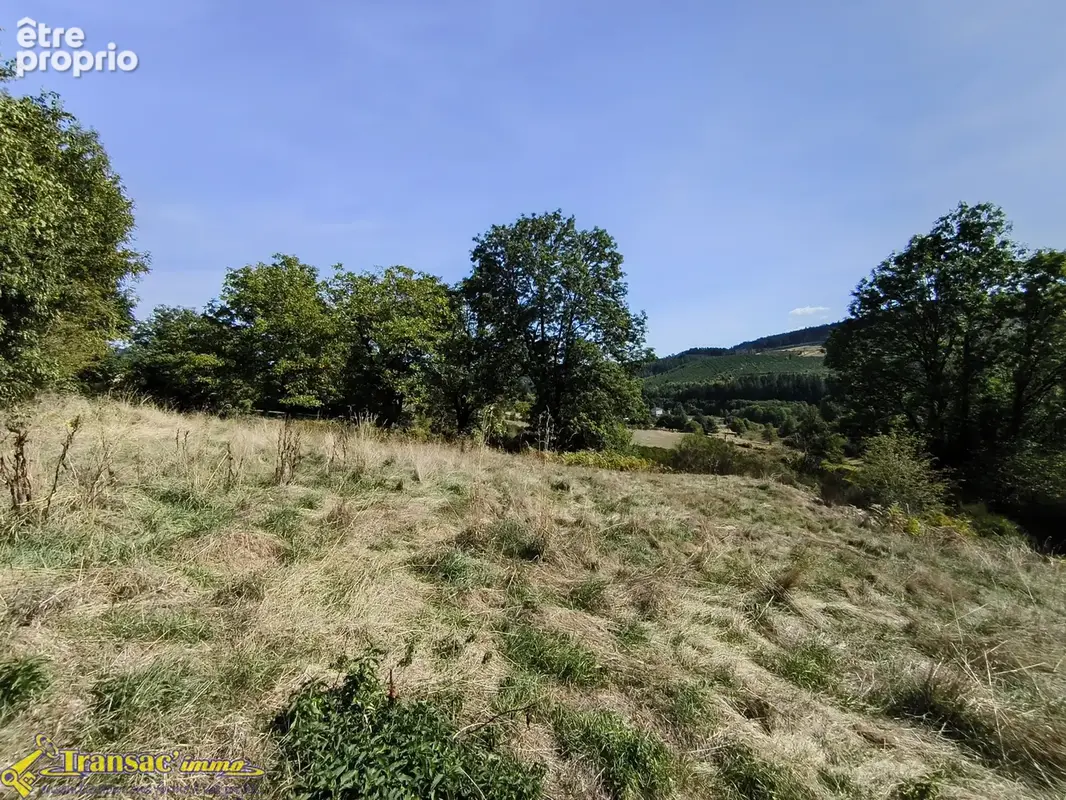 À Chabreloche, terrain constructible de 2707m2 exposé plein Sud. - photo 4